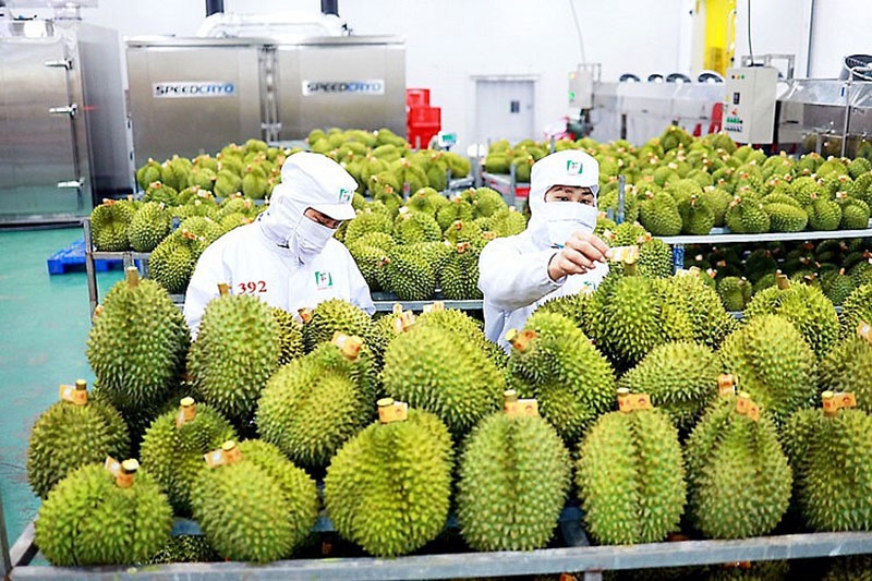 Durian exports gross US$253 million in first quarter